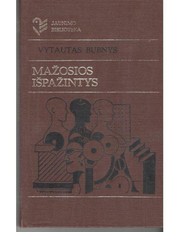 Mažosios išpažintys / Jaunimo biblioteka - Bubnys Vytautas