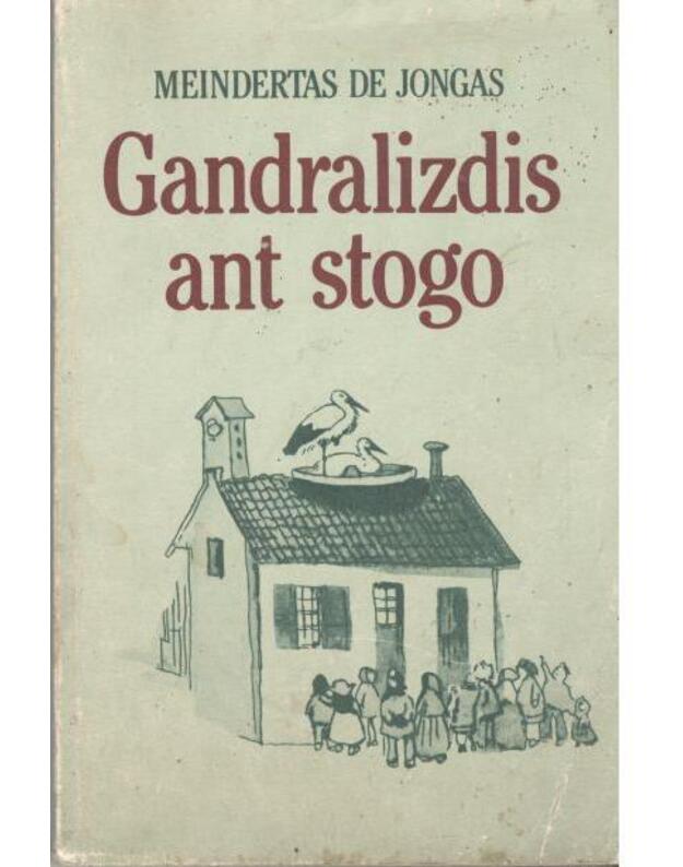Gandralizdis ant stogo - Meindertas de Jongas