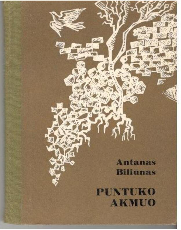 Puntuko akmuo. Praeities atspindžiai apsakymuose - Biliūnas Antanas