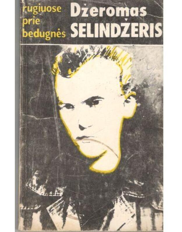 Rugiuose prie bedugnės / 3-ias leidimas 1986 - Selindžeris Džeromas / Salinger J. D. 
