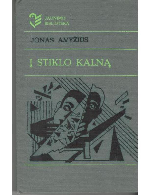 Į stiklo kalną / Jaunimo biblioteka - Avyžius Jonas