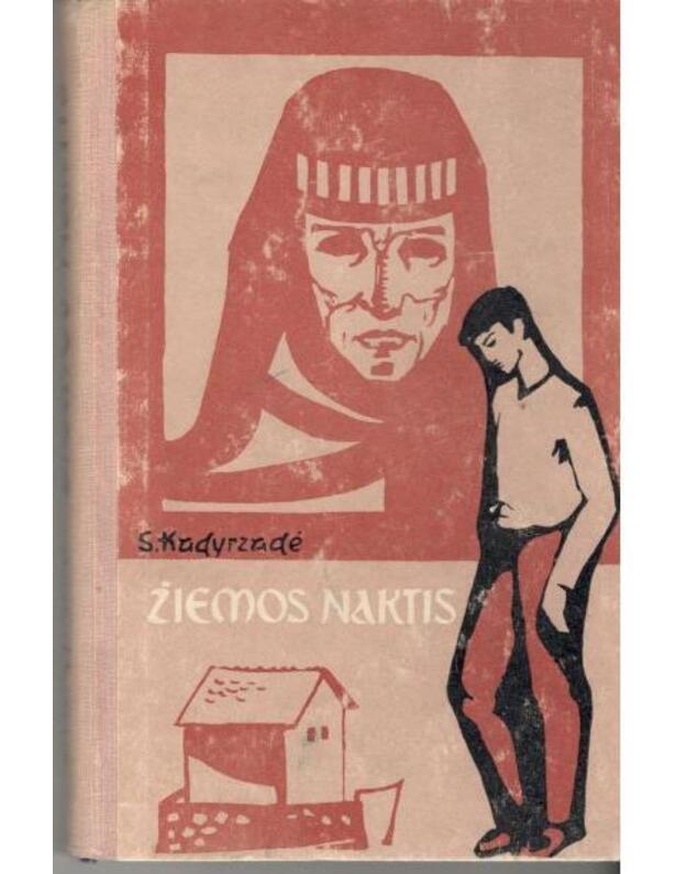 Žiemos naktis. Apysaka - Kadyrzadė Salamas 