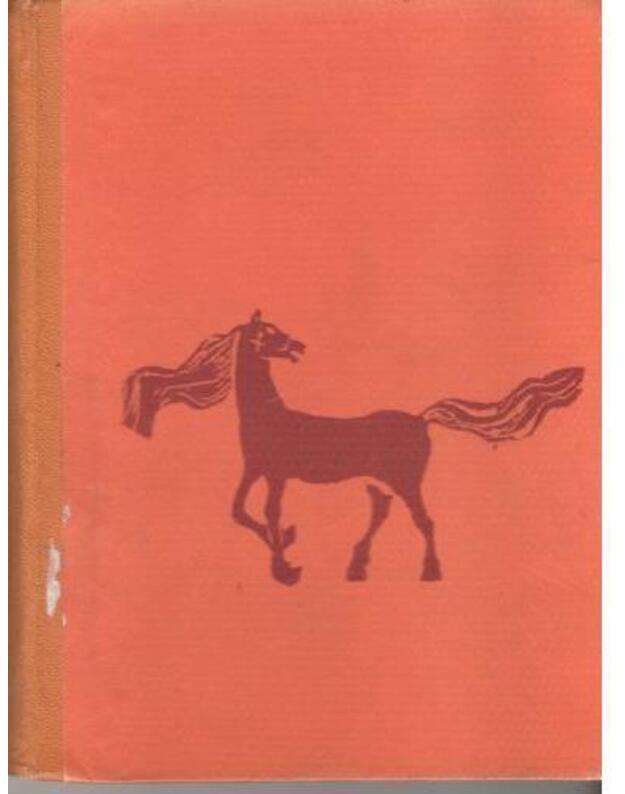 Raiteliai. Romanas - Janovskis Jurijus 1902-1954 / Ukraina