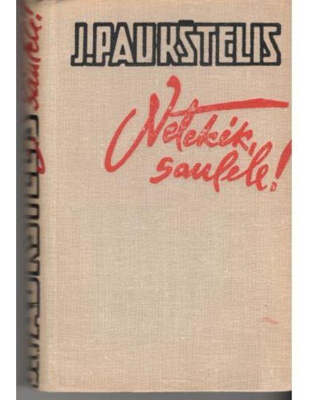 Netekėk, saulele. Romanas, II dalis, 1963 - Paukštelis Juozas 