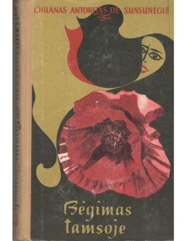 Bėgimas tamsoje. Romanas - De Sunsunegis Chuanas Antonijas 