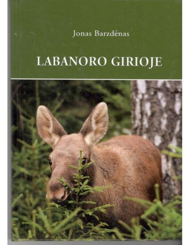 Labanoro girioje - Barzdėnas Jonas