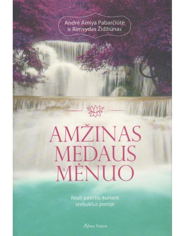 Amžinas medaus mėnuo. Reali patirtis, kuriant stebuklus poroje - Pabarčiūtė Andrė Amiya, Židžiūnas Rimvydas