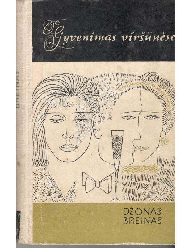 Gyvenimas viršūnėse - Braine John / Breinas Džonas 