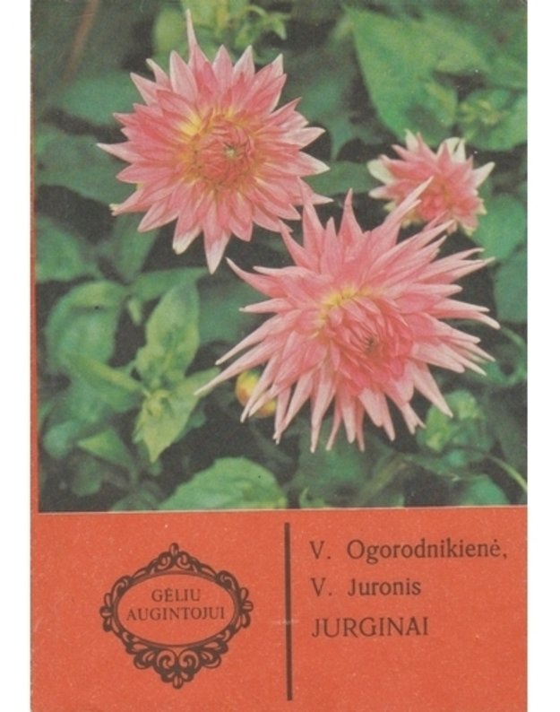 Jurginai / Gėlių augintojui - V. Ogorodnikienė, V. Juronis