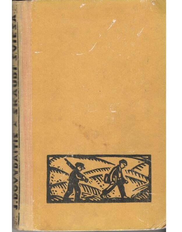 Skaudi šviesa. Romanas - Dovydaitis Jonas