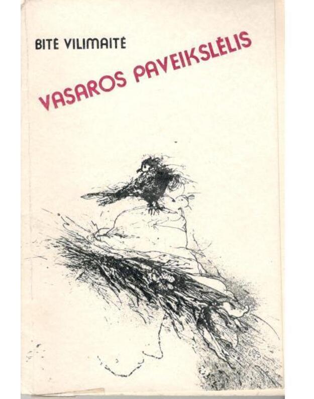 Vasaros paveikslėlis. Apsakymai - Vilimaitė Bitė