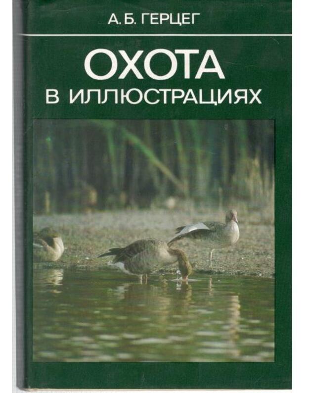 Ochota v illjustracijach - Gerceg A. B. 