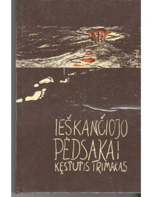 Ieškančiojo pėdsakai. Evangeliniai mąstymai - Trimakas Kęstutis 