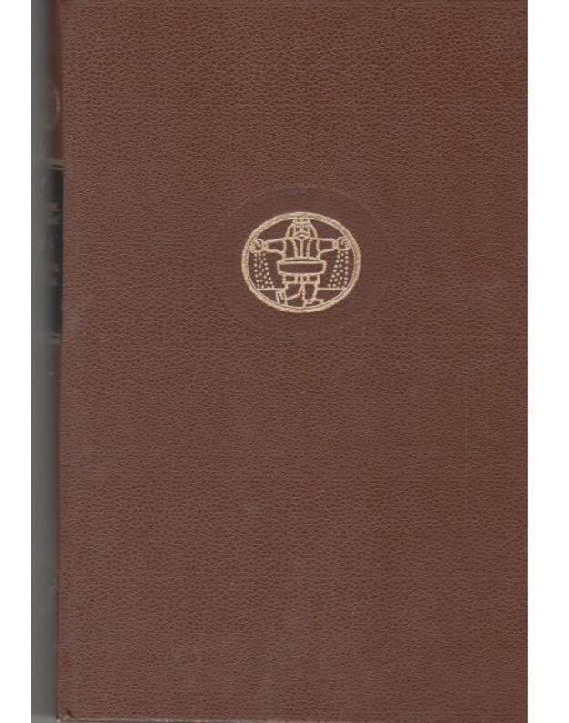 Doriano Grėjaus portretas. Menininko jaunų dienų portretas / PB 76 - Vaildas Oskaras. Džoisas Džeimsas