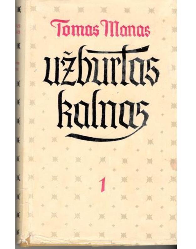 Užburtas kalnas. T. 1 - Mann Thomas
