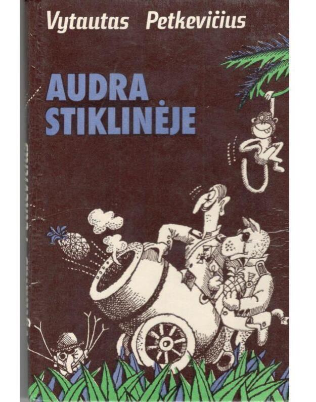 Audra stiklinėje - Petkevičius Vytautas