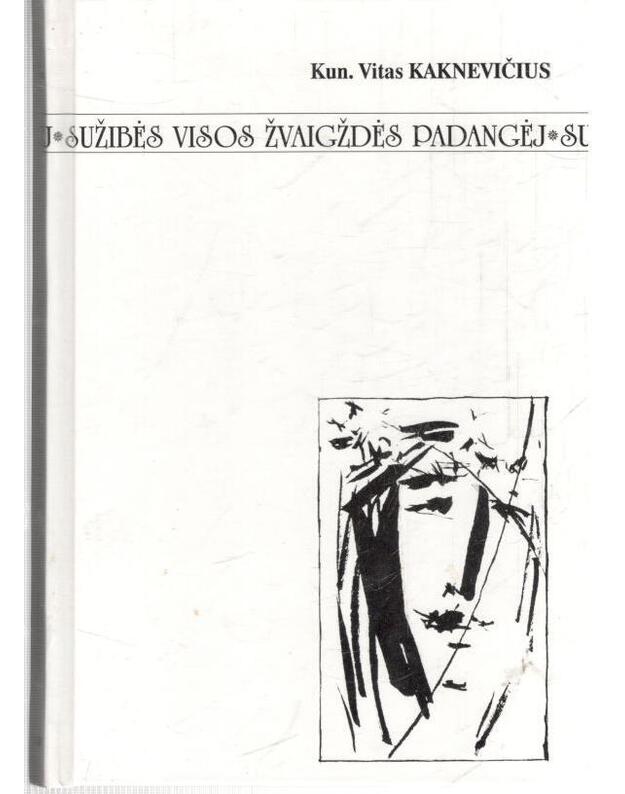 Sužibės visos žvaigždės padangėj - Kaknevičius Vitas, kun.