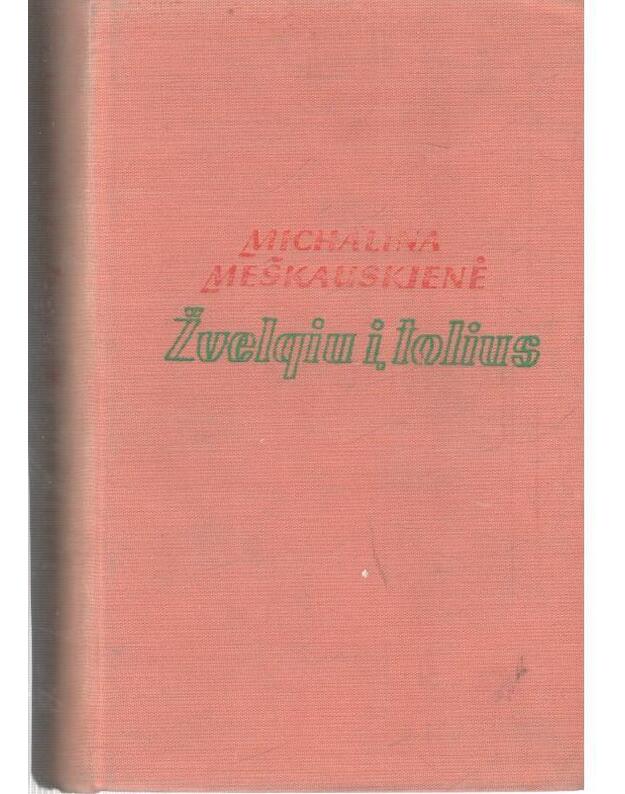 Žvelgiu į tolius - Meškauskienė Michalina