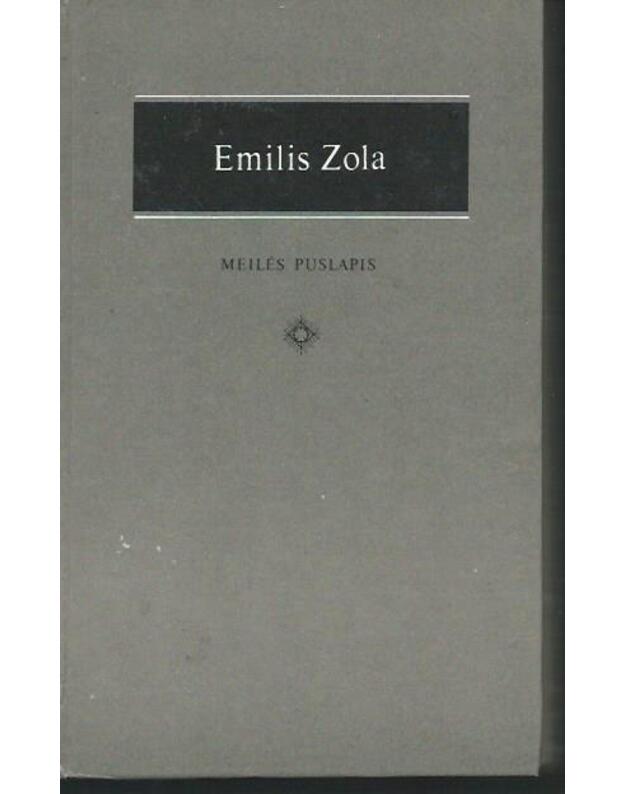Meilės puslapis. Romanas  - Zola Emilis