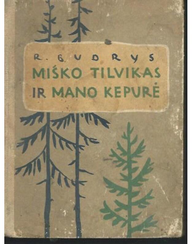 Miško tilvikas ir mano kepurė - R. Budrys